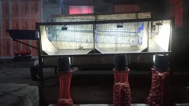 Сортировка картофеля. Барабанная сортировка картофеля. Калибровка картофеля.