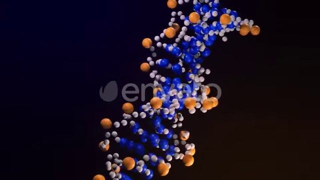 3D Animation Of The Original 3BSE DNA Molecule Model | Motion Graphics - Videohive template смотреть онлайн