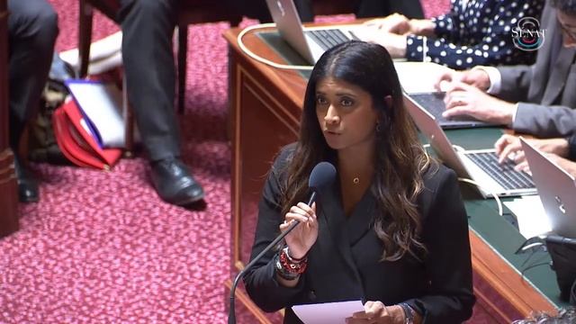 Questions d'actualité au Gouvernement du mercredi 15 mai 2024 смотреть онлайн