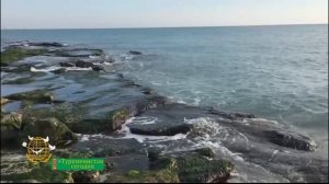 Природа Туркменистана