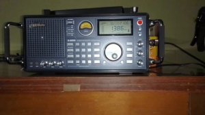 Немецкая волна