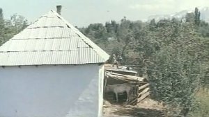 Алпамыс идёт в школу