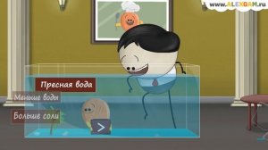 Как рыбы пьют воду?