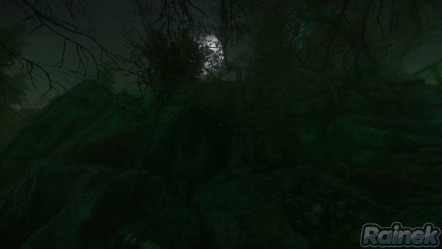 ПИКНИК С ПУГАЛОМ  - 1440p 60ᶠᵖˢ  3 THE CURSED FOREST ПРОХОЖДЕНИЕ