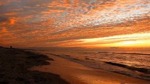 ЧЕРНО-БЕЛАЯ ЛЮБОВЬ 79 СЕРИЯ: где смотреть, описание, анонс на русском языке