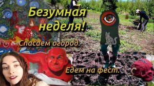 Безумная неделя