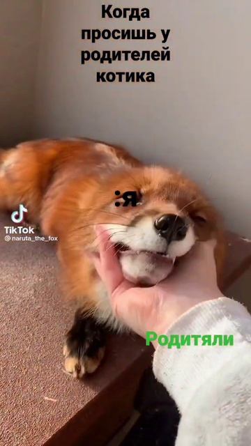 22 октября 2022 г. смотреть онлайн