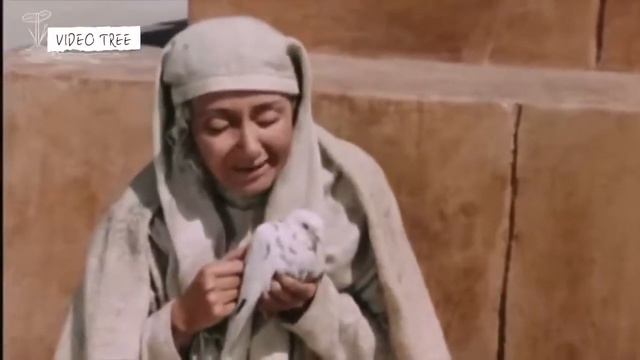 Хазрати Юсуф кисми 35 смотреть онлайн