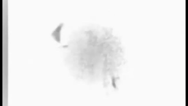 О любви и гармонии смотреть онлайн