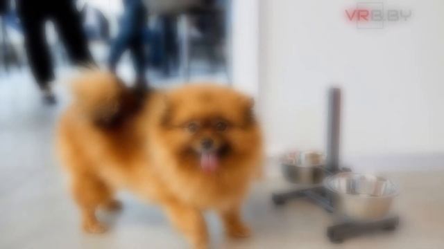 ✨ Кофейня «А-локация» | Минск, пр-т Победителей, 5 смотреть онлайн