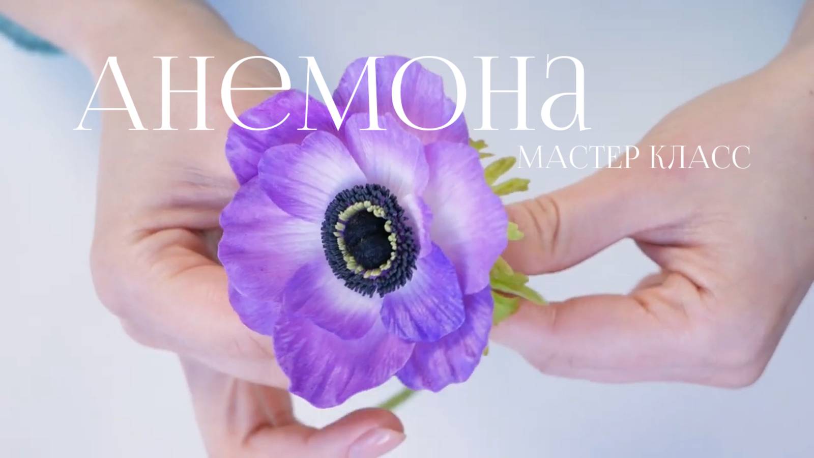 Анемона мастер класс из полимерной глины смотреть онлайн