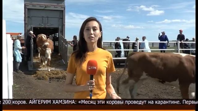 “7+7” Информационная программа 06.08.2022 смотреть онлайн