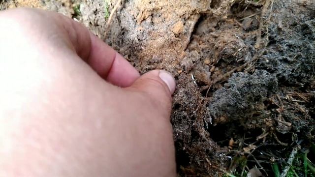 Коп вдоль лесных дорог!Коп в лесу временно прекращаю!