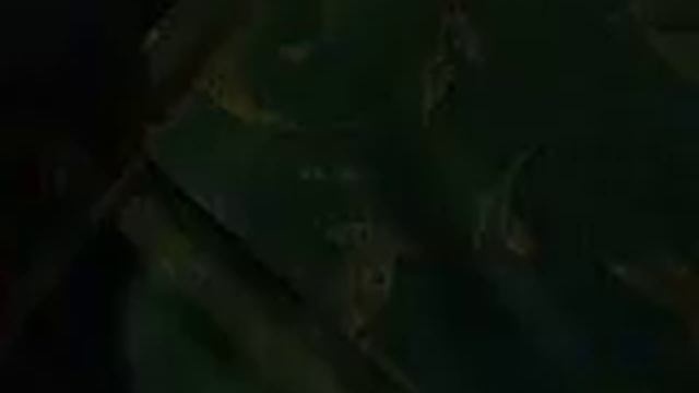 Супер обои 0040 смотреть онлайн