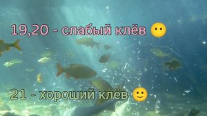 Календарь рыбака. Прогноз клёва по лунному календарю на сентябрь 2024г.