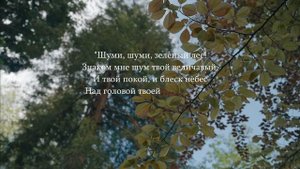 Шуми, шуми, зеленый лес... На стихи Ивана Никитина - "Лес"