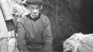 Видеоэкскурсия "Вилегодский лён" 2 часть