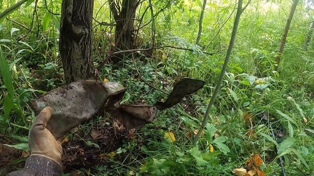 не большая прогулка по старой деревне с металлоискателем