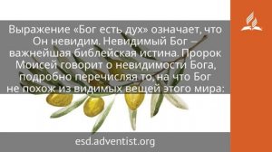 29 января 2025 Бог есть дух. Под сенью благодати. Адвентисты.