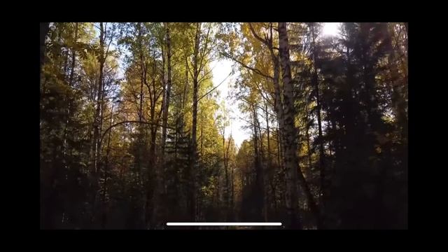 Английский язык. 2 класс. Слова и лексика для детей и школьников! УЧИМ ВМЕСТЕ