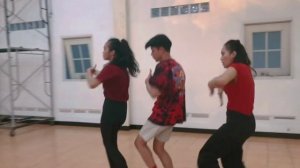 Stray Kids - Winter Falls Dance Choreography