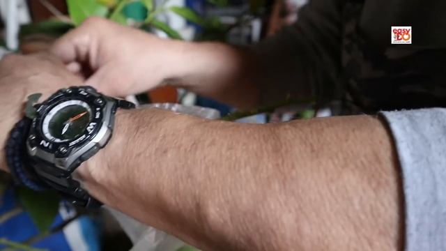 ☑️ Multiply lemon tree without seed 🌳 Πολλαπλασιασμός λεμονιάς χωρίς κουκούτσι смотреть онлайн