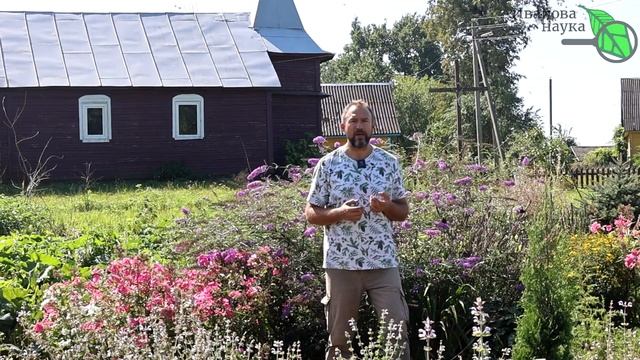 ПОСЛЕ СБОРА УРОЖАЯ ПОСЕЙТЕ ЭТОТ ИДЕАЬНЫЙ СИДЕРАТ: почва восстановится сама. смотреть онлайн