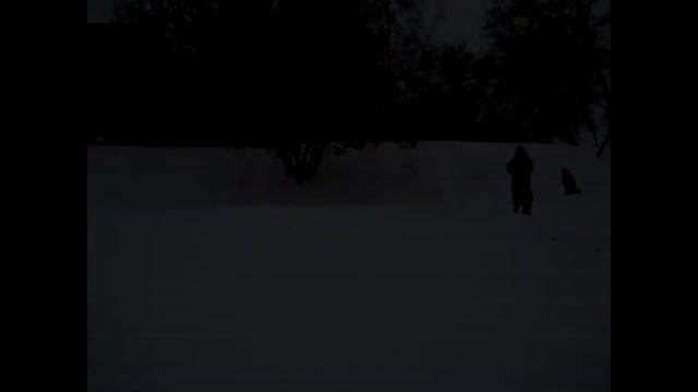 Покатушки на снегокате)
