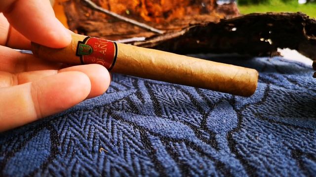 Carlos Torano Nicaragua Selection Petit Corona Zigarren Review