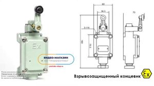 Взрывозащищенный концевой выключатель с нерегулируемым стальным роликом 1NO + 1NC M20 DLXK-B15B