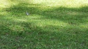 Природа Алтайского края!