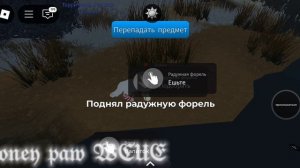 как рыбачить в котах воителях roblox?