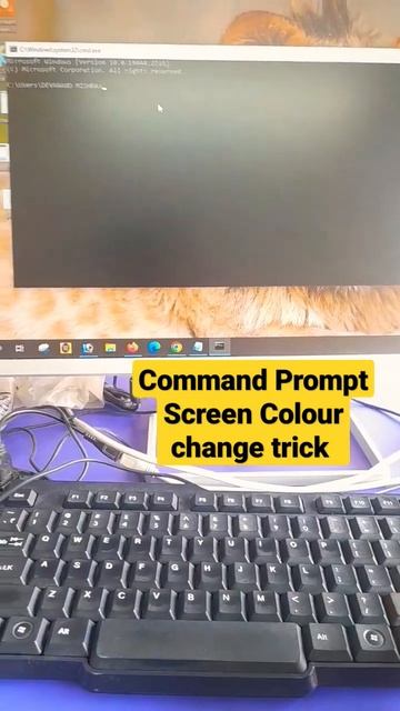 How to change command prompt screen colour? #youtubeshorts #viral #shorts #trickshots