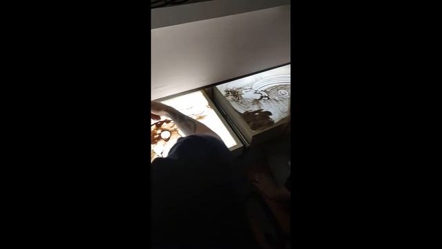 Посмотри, какая красота: курс подготовки волонтеров в "Добрыняпомогай Lab." смотреть онлайн