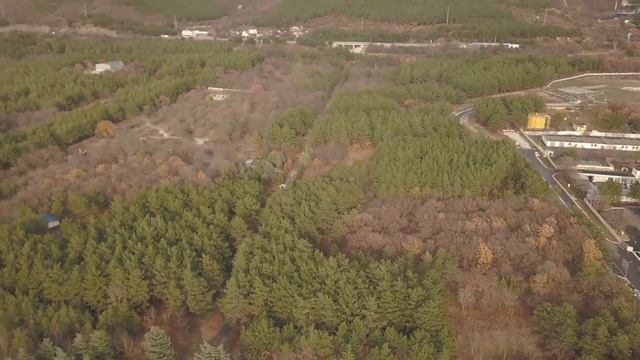 Дендропарк город Геленджик