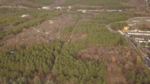 Дендропарк город Геленджик