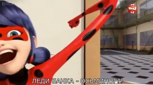 Леди бак и супер кот мими