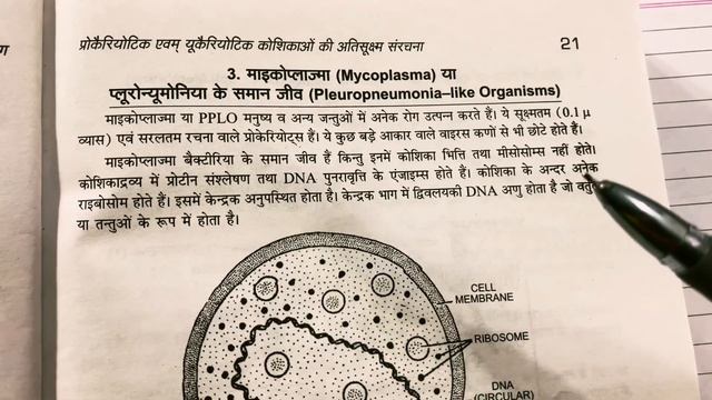 Mycoplasma in hindi || BSc first year Zoology first Semester смотреть онлайн