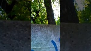 Убежали от училки