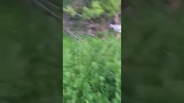 Моя история встречи с живой и мёртвой водой...или почему мы болеем... Мои рассуждения, опыт, критик смотреть онлайн