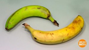 Бананы: зеленые против желтых. Доброе утро. Фрагмент выпуска от 28.01.2025