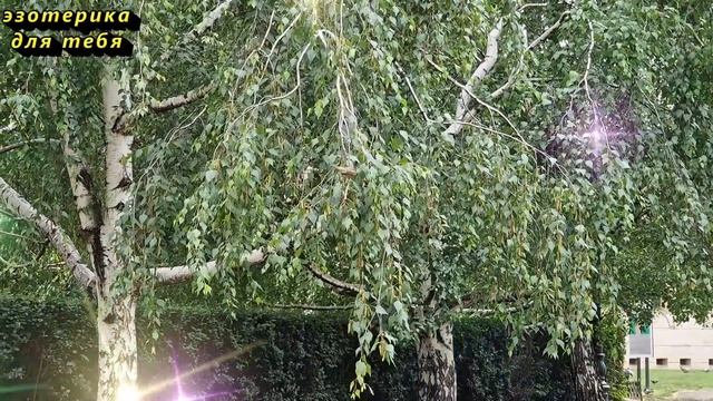 10 апреля народный праздник Иларионов день, Иларион выверни оглобли. Что нельзя делать. Приметы