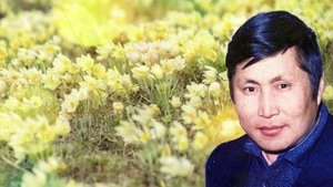 Николай Саввинов мел. "Ньургуһуну харыстаа" "Көҕүөр" анс. Сунтаар улууһа