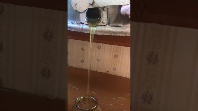 Продолжение Как делают мёд￼