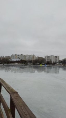 26.1.25 Москва, Южное Бутово