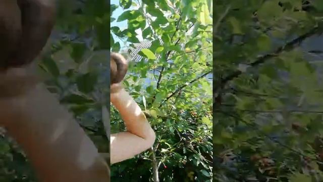 VIOG:как я отмечаю свой День Рождения!! 😎😎 1часть смотреть онлайн