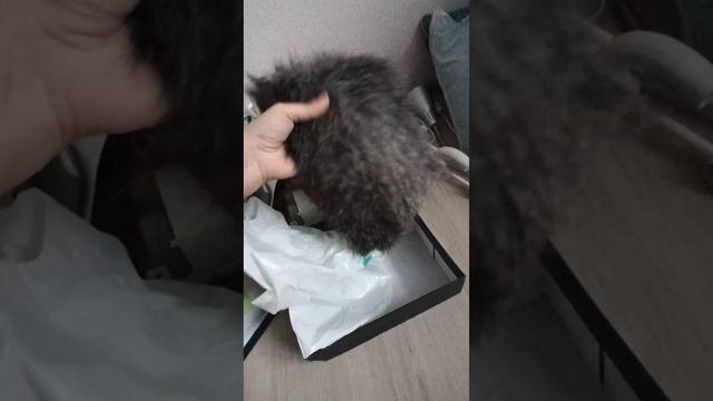 сумасшедший текстиль отправляется на помойку