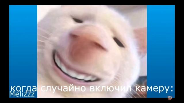мем дистанционное обучение | приколы про дистанционку(РЕАКЦИЯ)