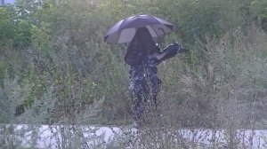 Жесть. Мусорный пакет ожил и терроризирует жителей деревни