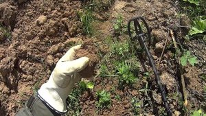 Что можно найти с металлоискателем Quest X5 реальный поиск!